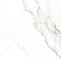 Carrara Premium white PG 01 600х600 (1,44м2)